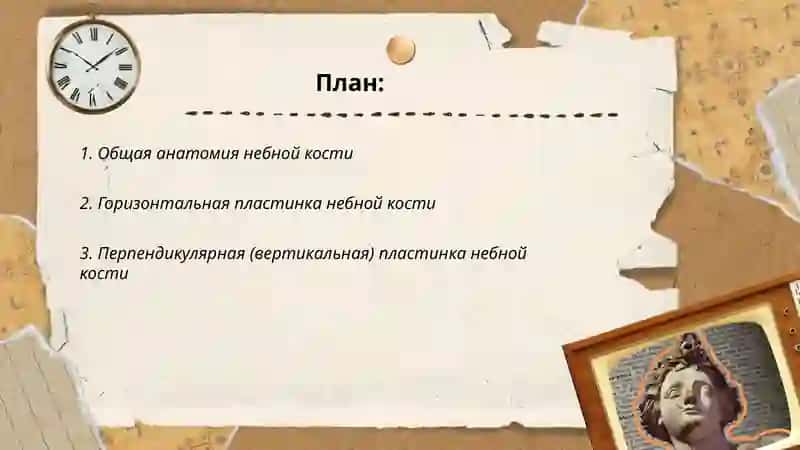 небная кость 2