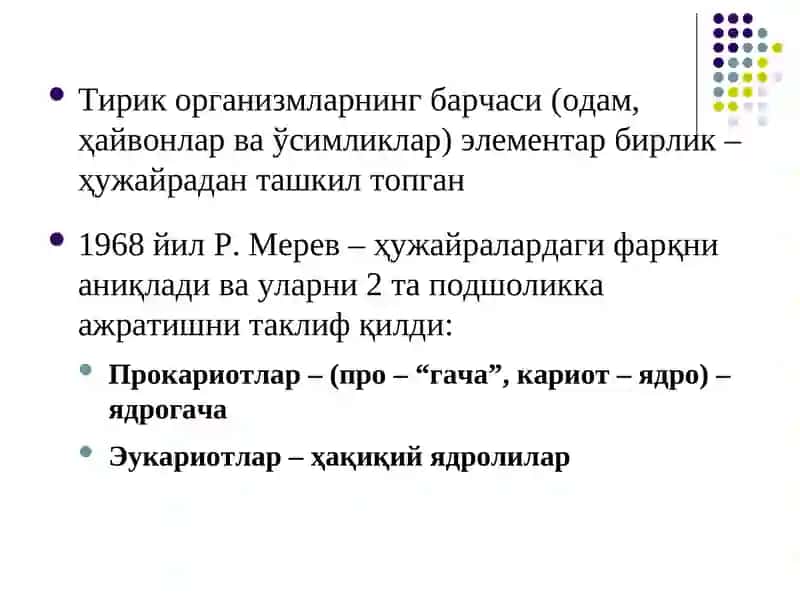 Бактерия ҳужайрасининг тузилиши 2