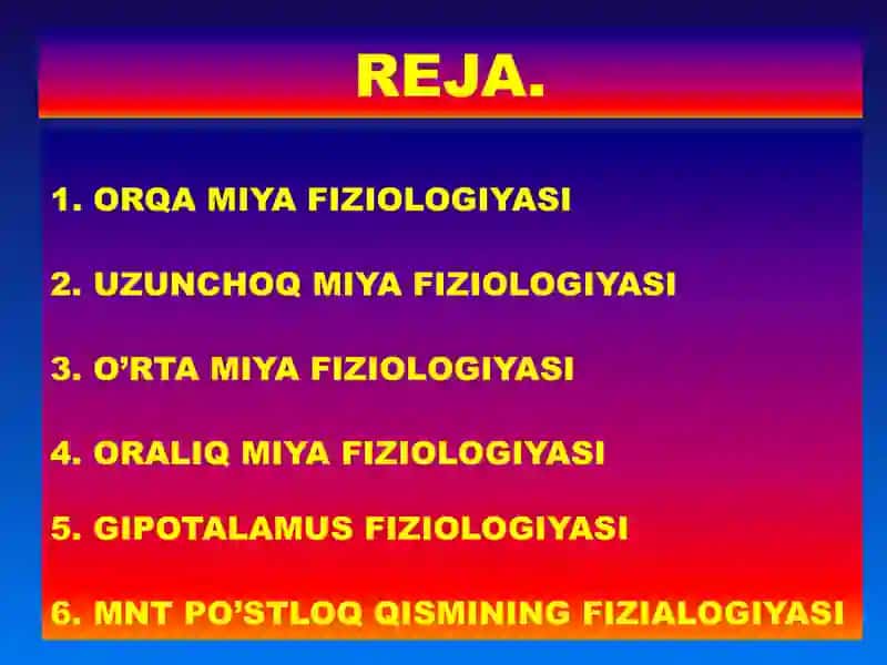Markaziy nerv tizimining fiziologiyasi 2