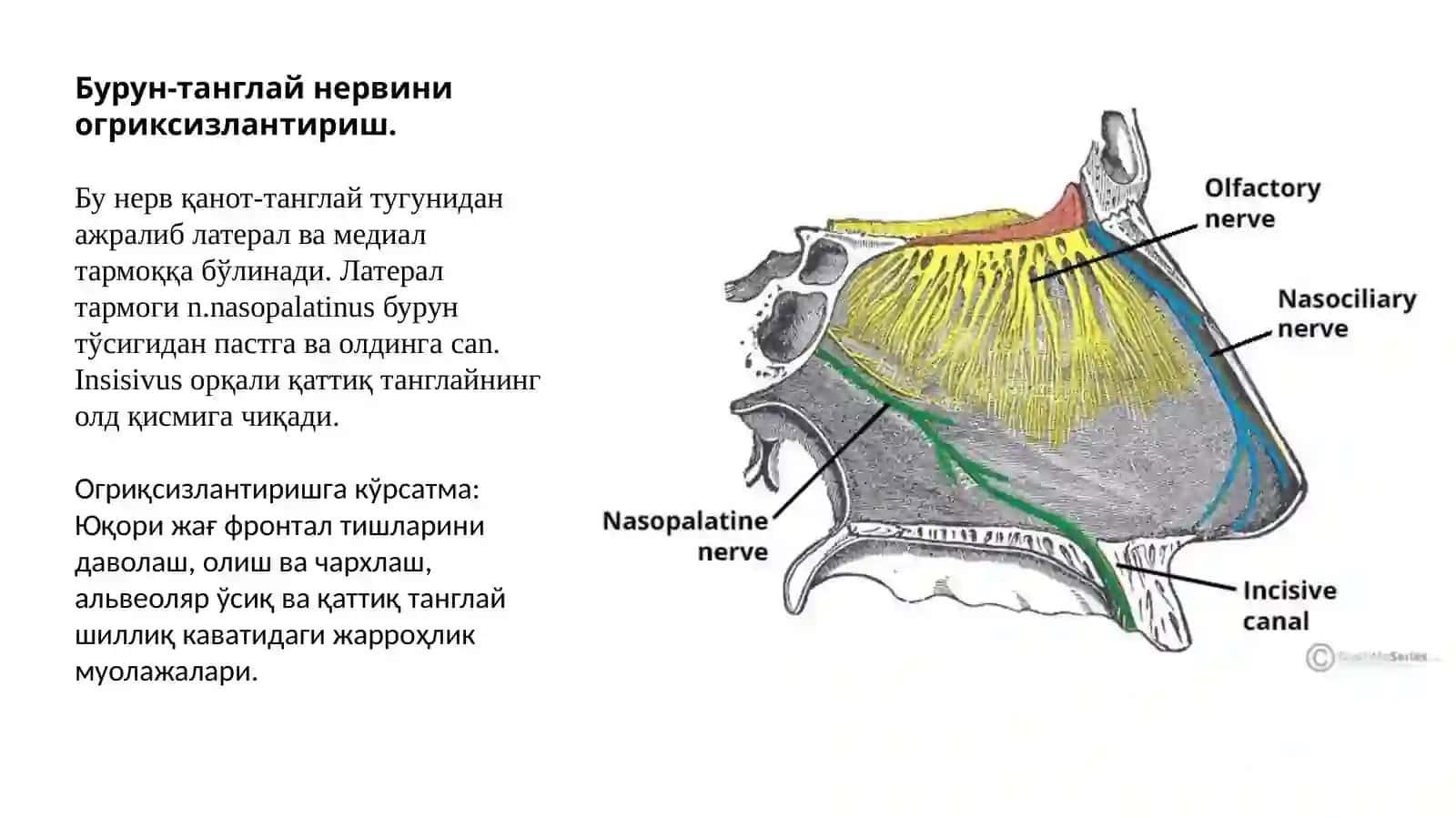 Інсизивалогъриқсизлантириш 2