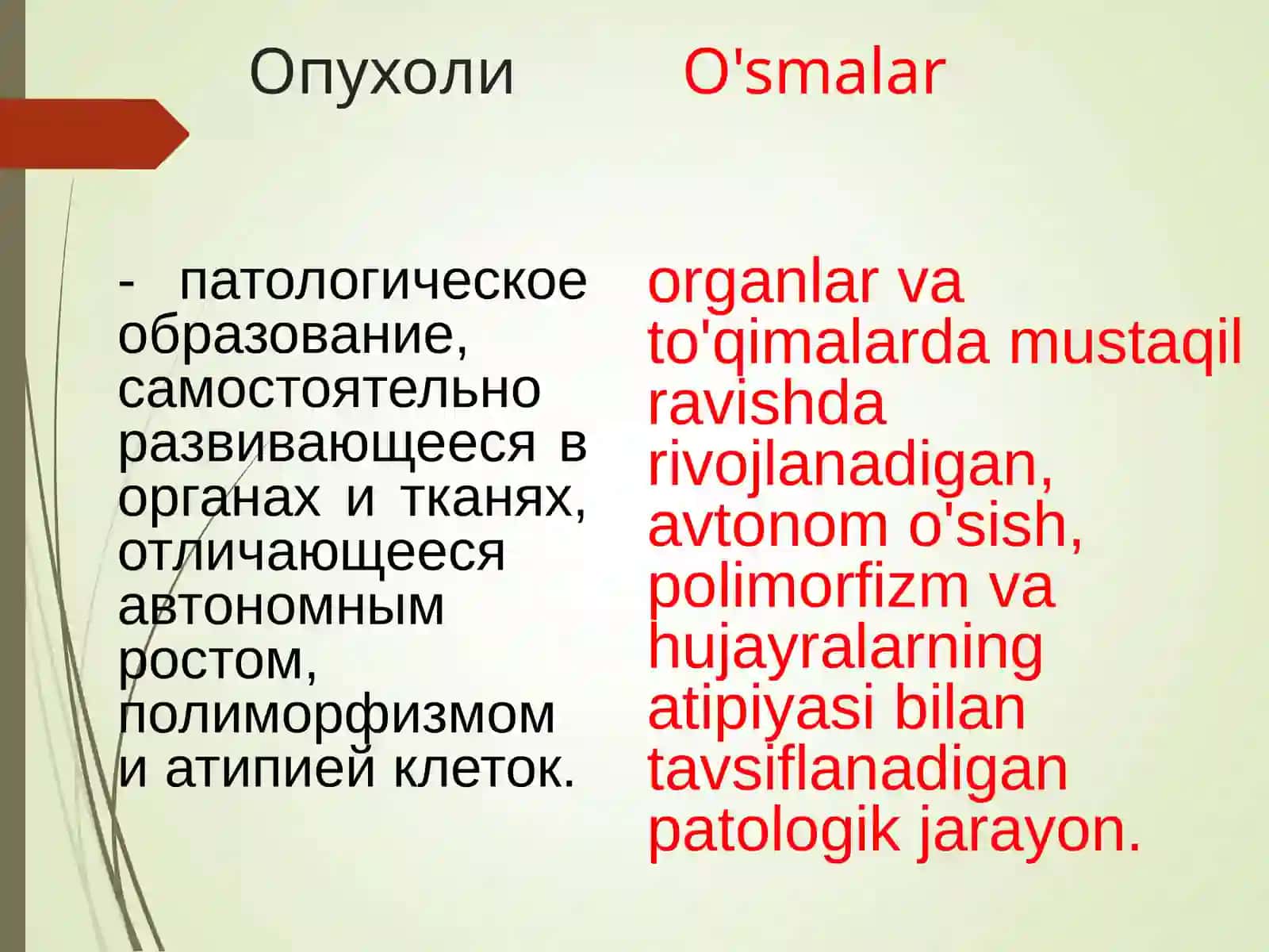 ONKOLOGIYA ASOSLARI 2