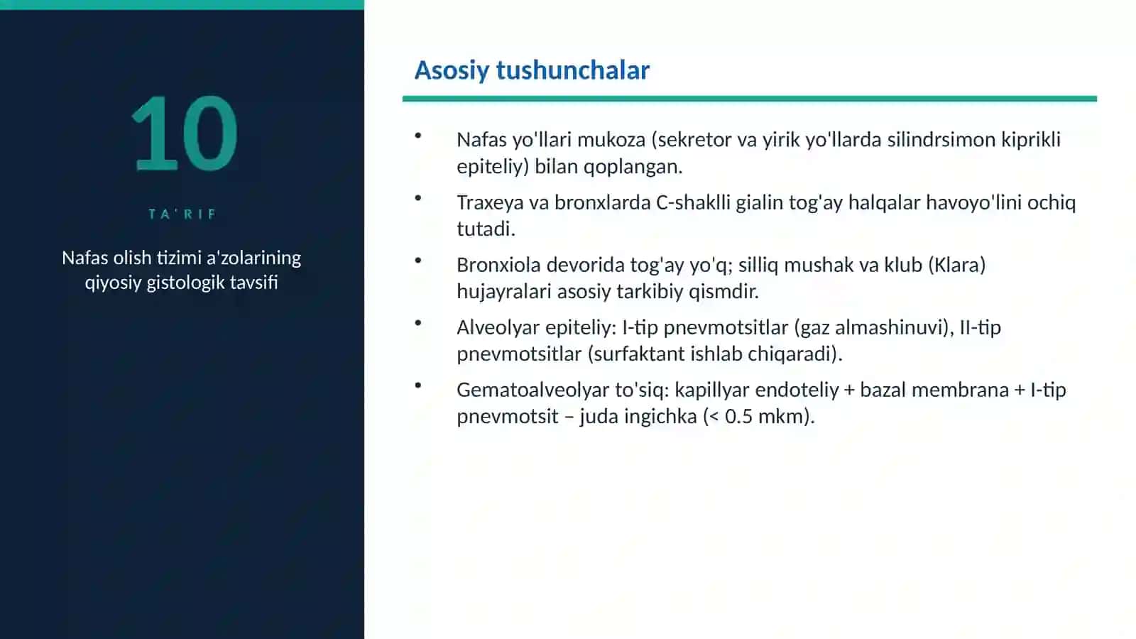 Nafas olish tizimi a'zolarinin.Gistologiya 2