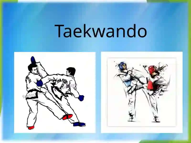 Taekwando 2