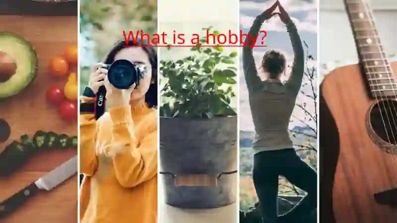 My Hobby 2