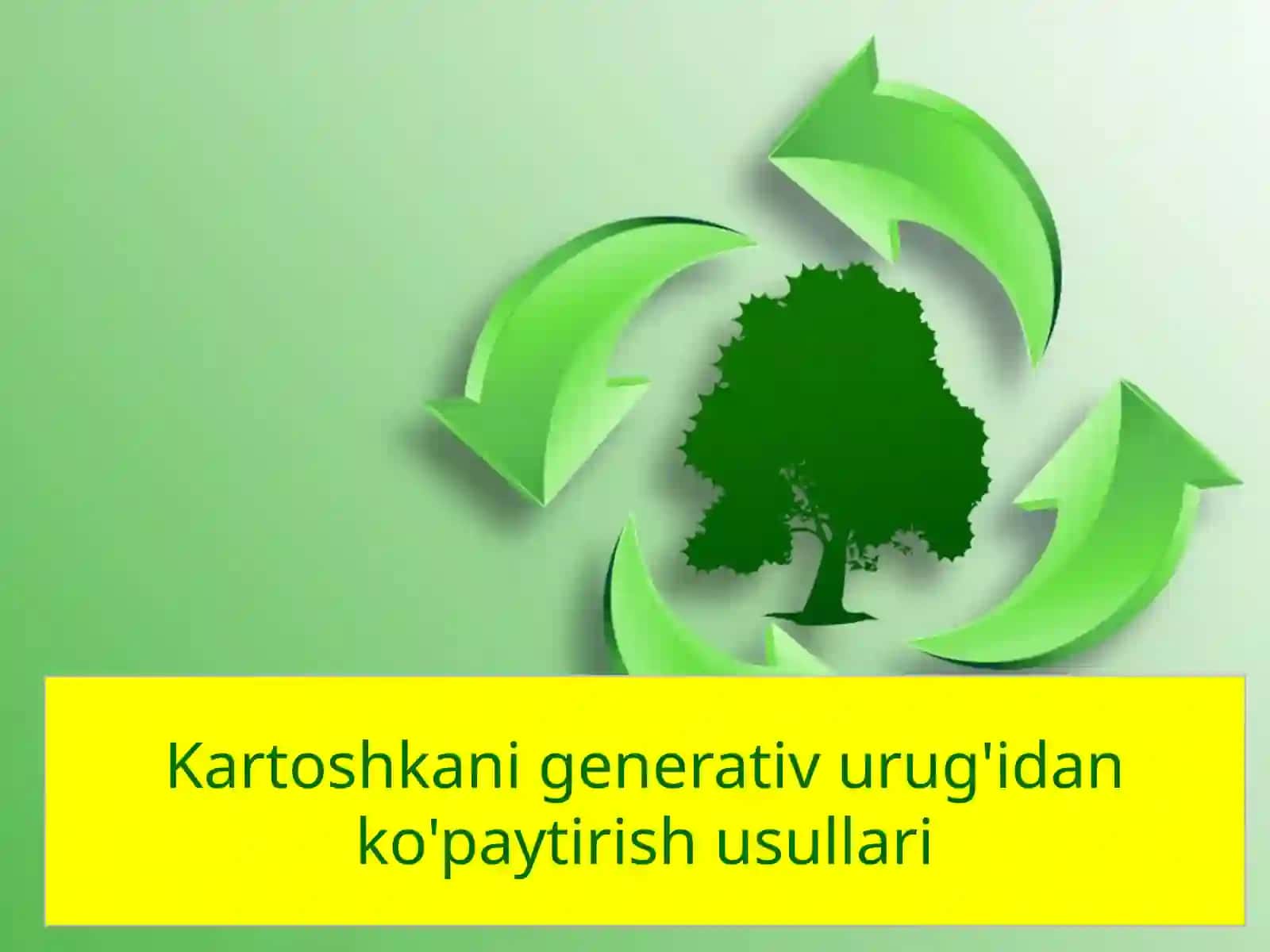 Kartoshkachilik fanidan Taqdimot 2
