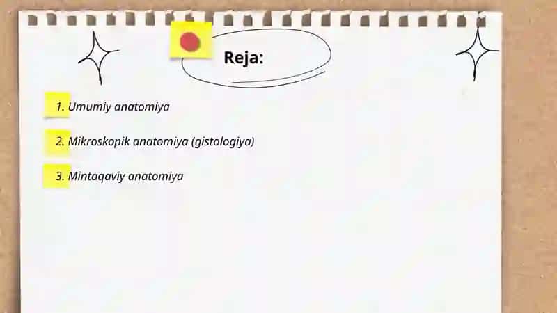 Anatomiya 2
