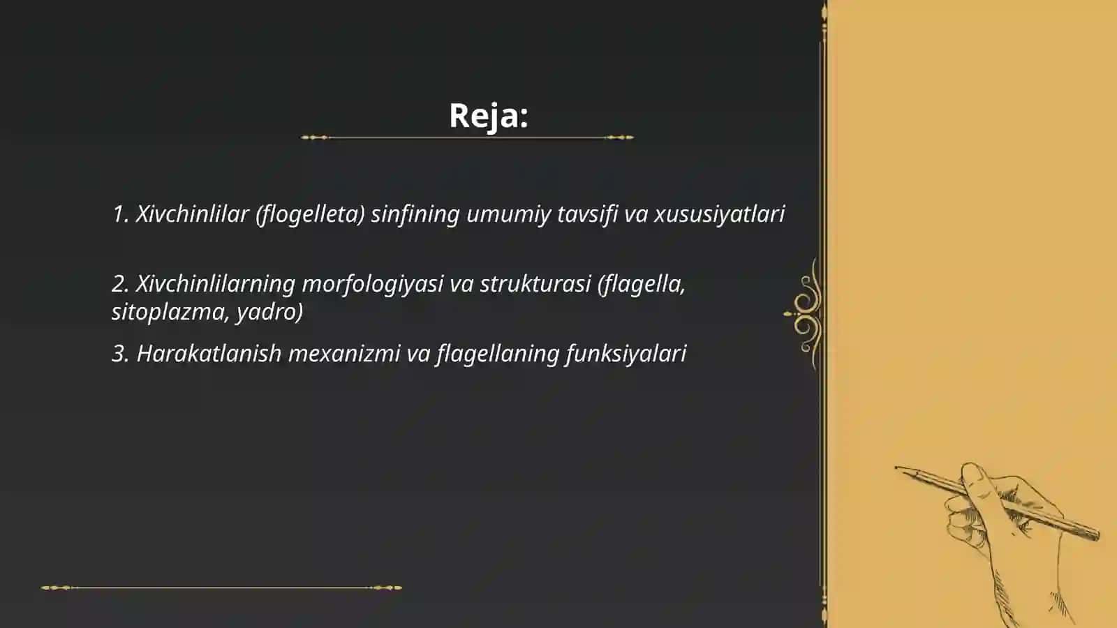 Xivchinlilar (flogelleta) sinfi 2