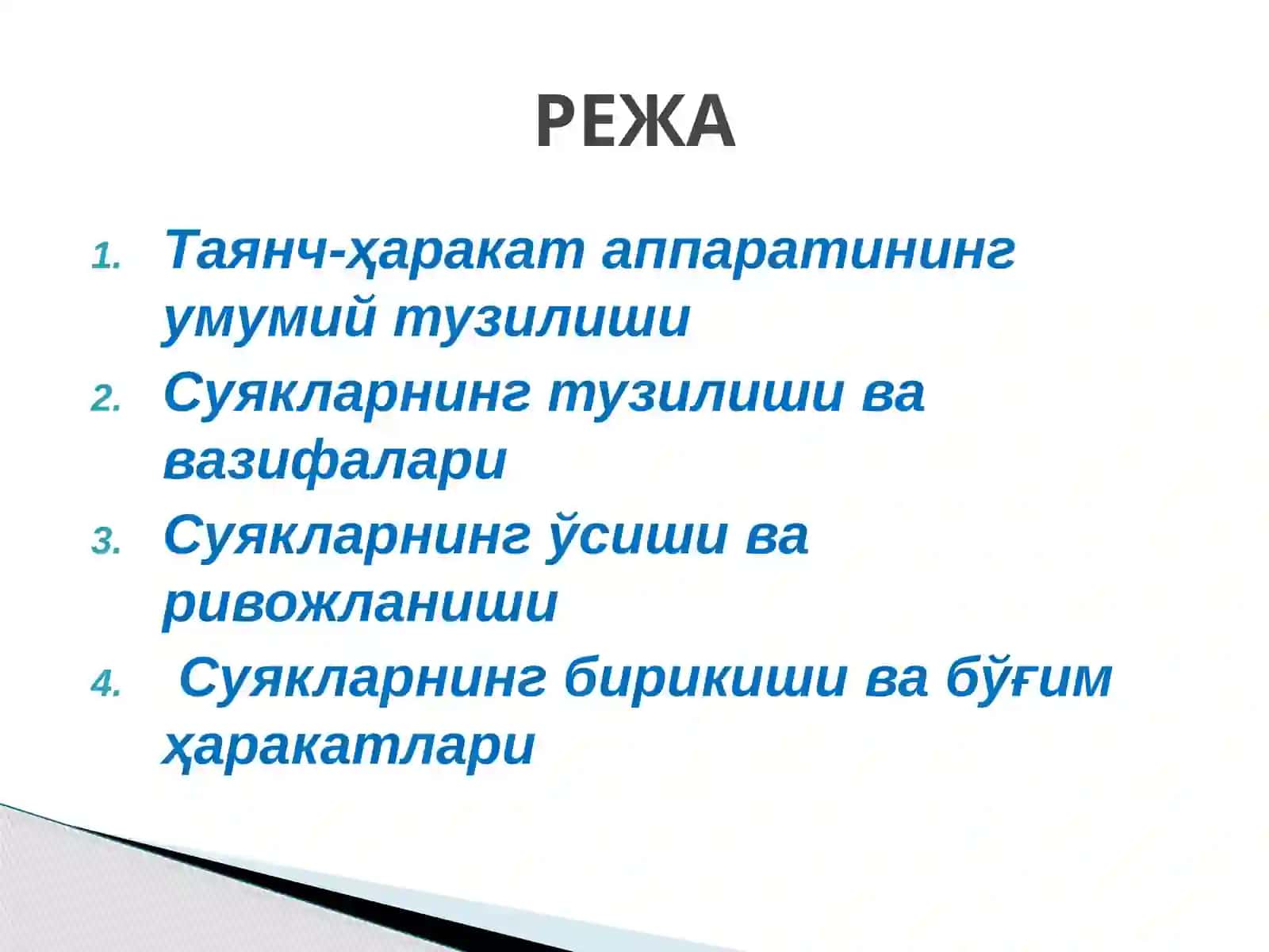 Таянч-ҳаракат тизимининг тузилиши ва аҳамияти 2