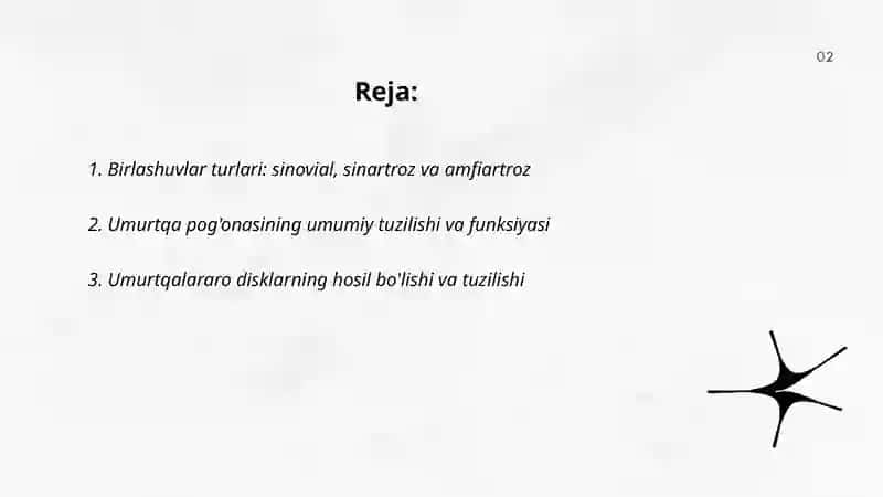 BIRLASHUVLAR.UMURTQALARARO BIRLASHUVI 2