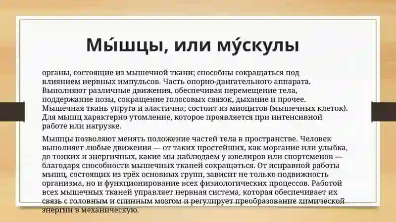 Классификация мышц 2