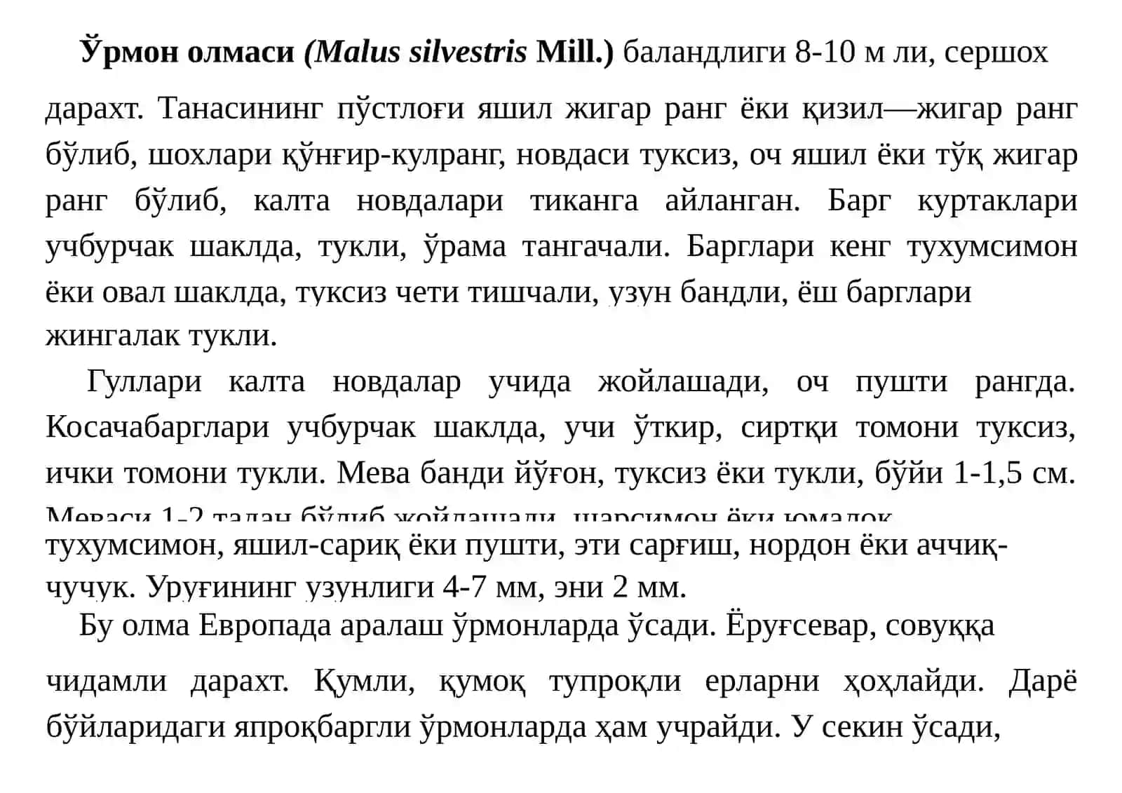 ОЛМА(MALUS)ТУРКУМИ 2