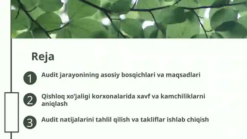 Qishloq xo’jaligi korxonalarida audit 2