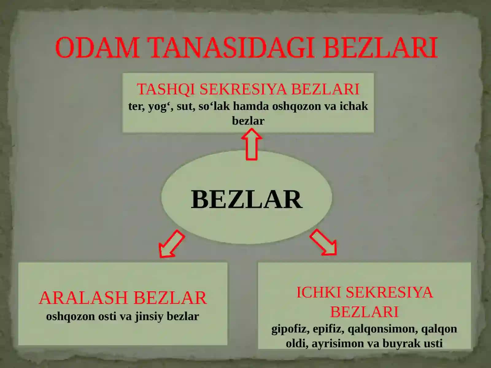 Ichki sekretsiya bezlarining yosh xususiyatlari 2