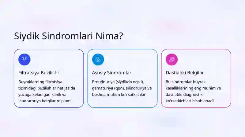 Siydik Sindromlari: Proteinuriya, Gematuriya va Boshqalar 2