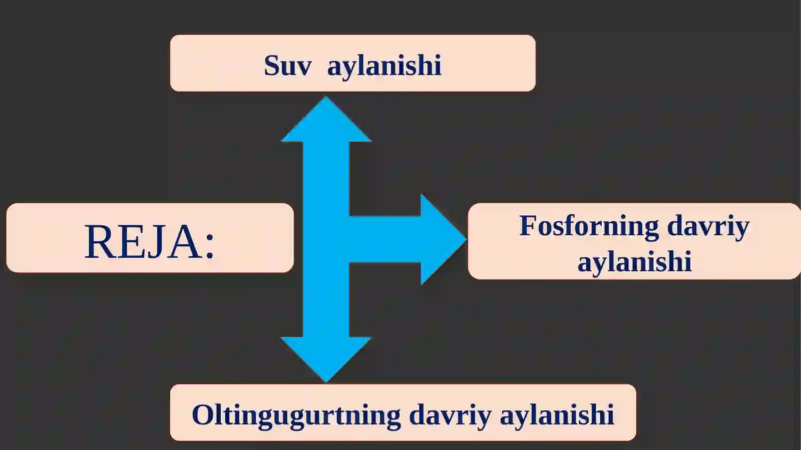 Biogeokimyoviysikl 2