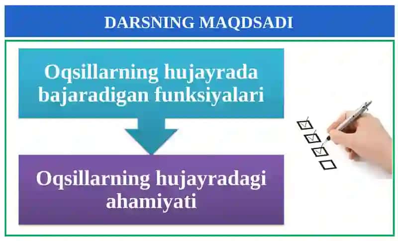 Oqsillarning funksiyalari 2