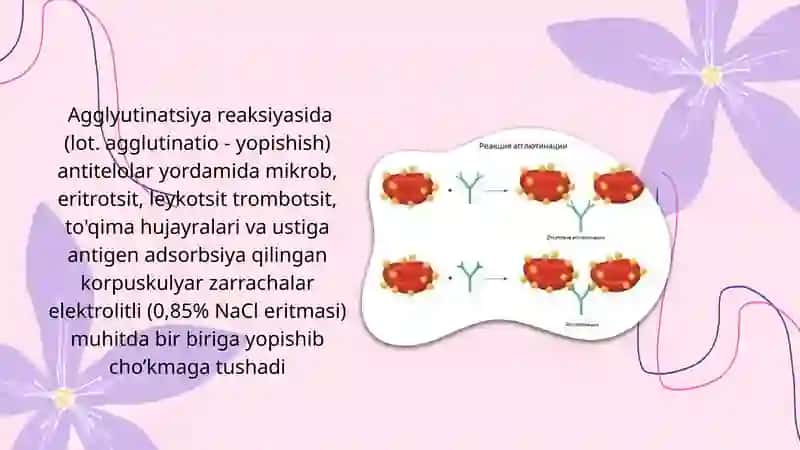 Serologik reaksiyalar.Agglutinatsiya 2