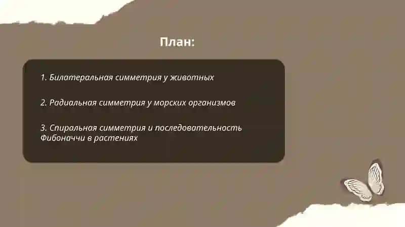 Симметрия в природе 2