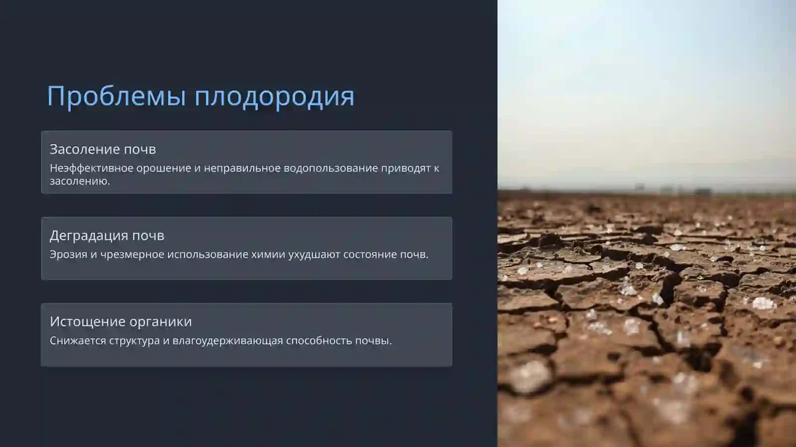 Плодородие почв Узбекистана 2