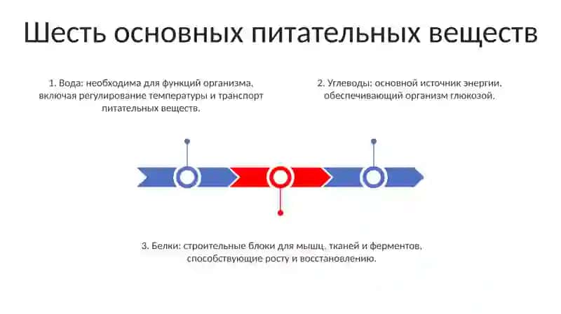 Шесть основных питательных веществ 2