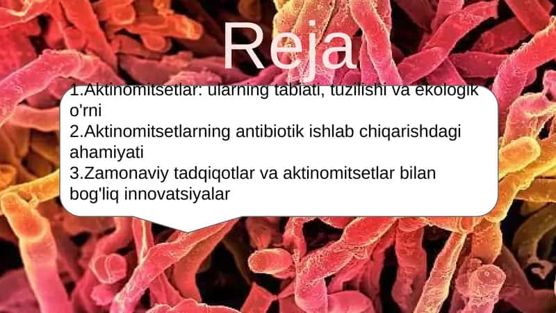 Aktinomidsitlar 2
