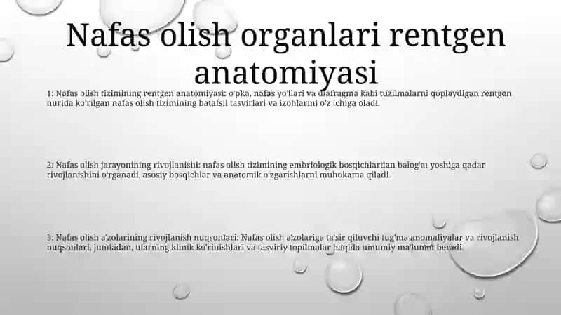 Nafas Olish Jarayoni.Nafas Olish A'Zolarinig Rentgenanatomiyasi Va Rivojlanish Nuqsonlari 2