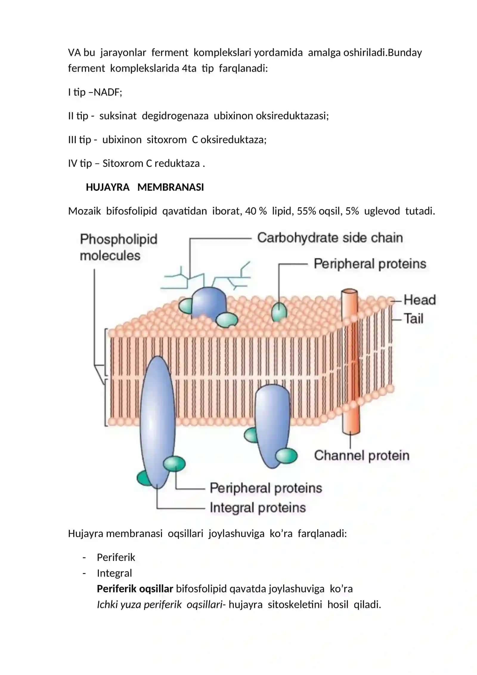 Hujayra fiziologiyasi 2