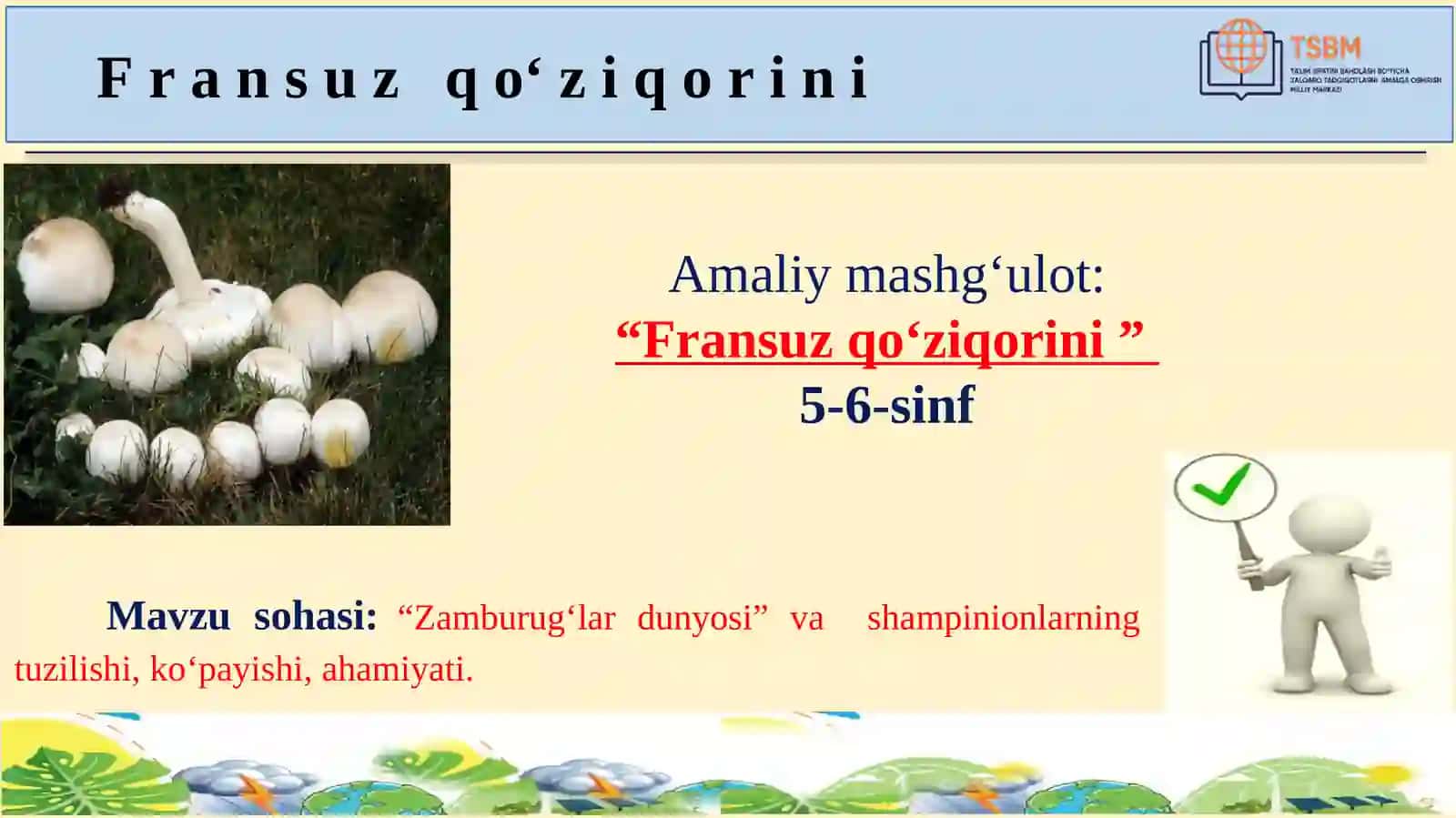 Zamburug‘lar dunyosi 2