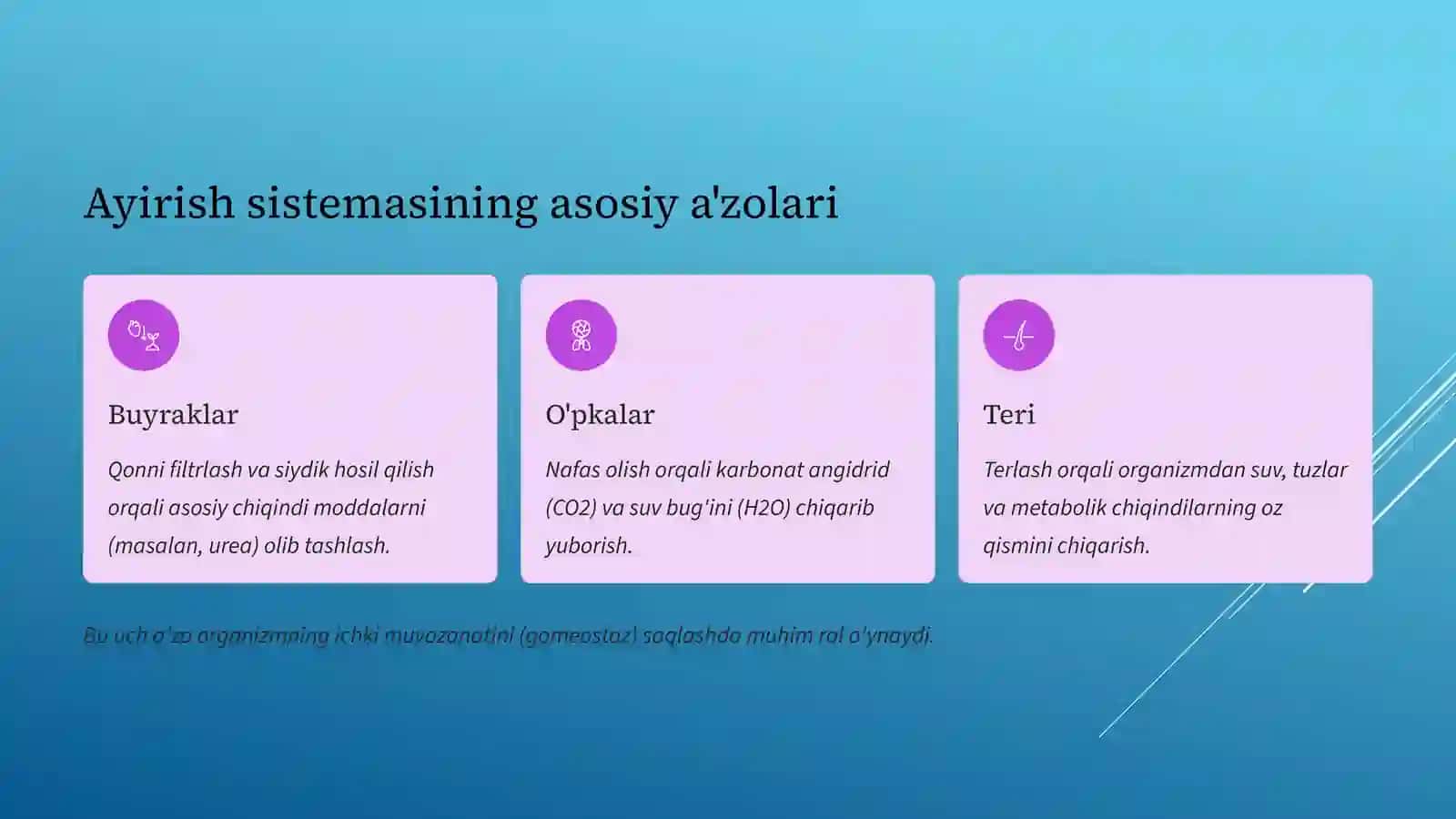 Ayirish sistemasining asosiy a'zolari 2