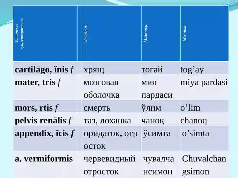 Jenskiy roddagi otlar 2