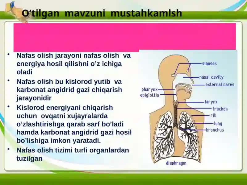 O'tilgan mavzuni mustahkamlash 2