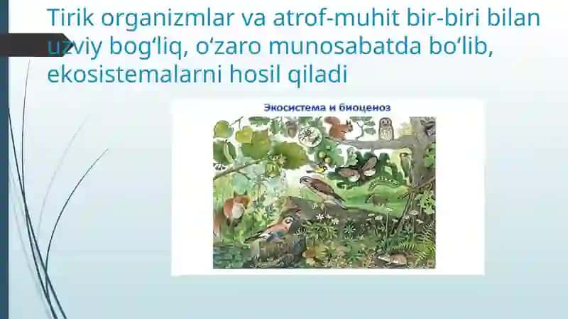 EKOSISTEMALARDAGIO‘ZARO MUNOSABATLAR 2
