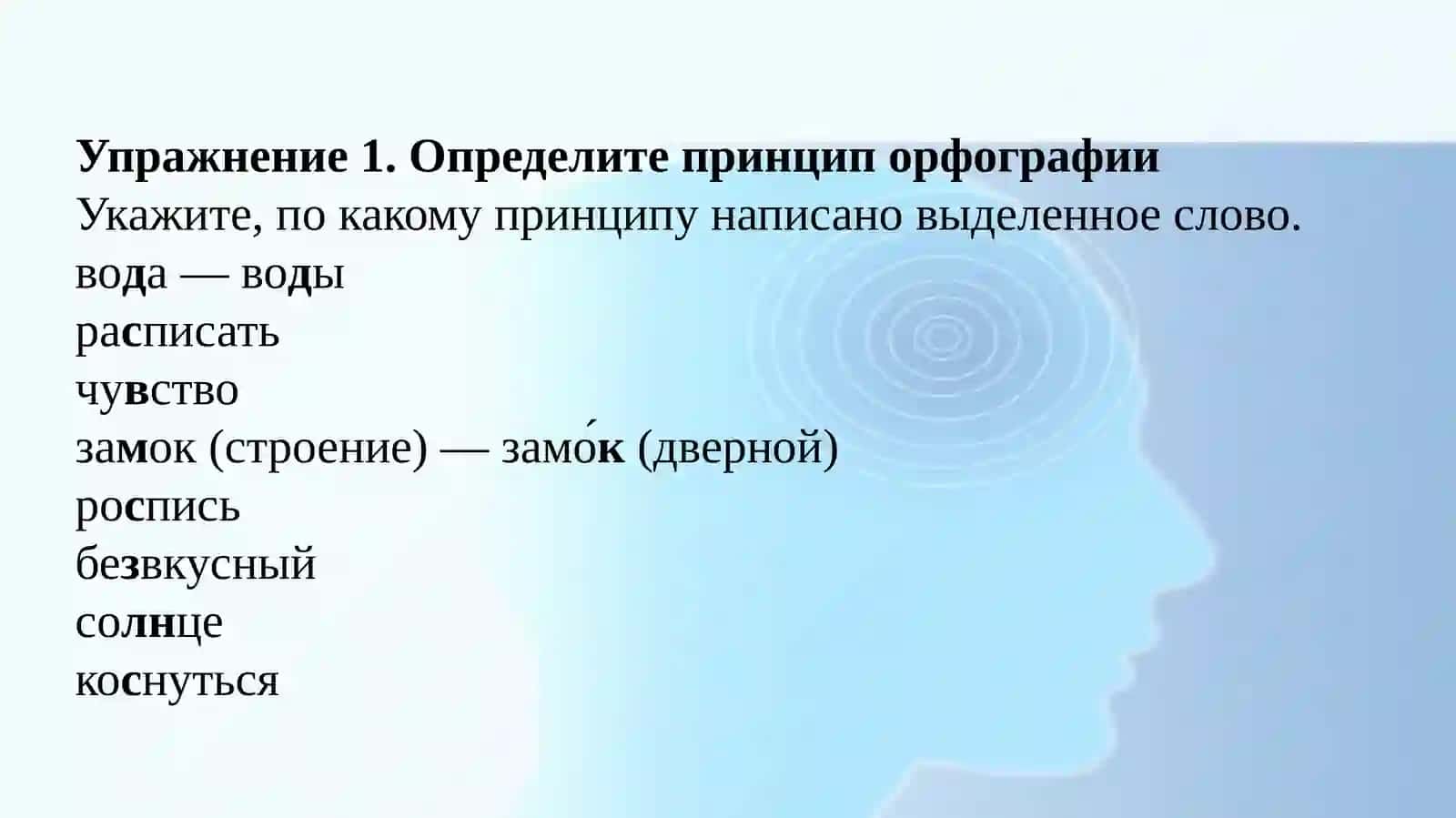 Принципы русской орфографии 2
