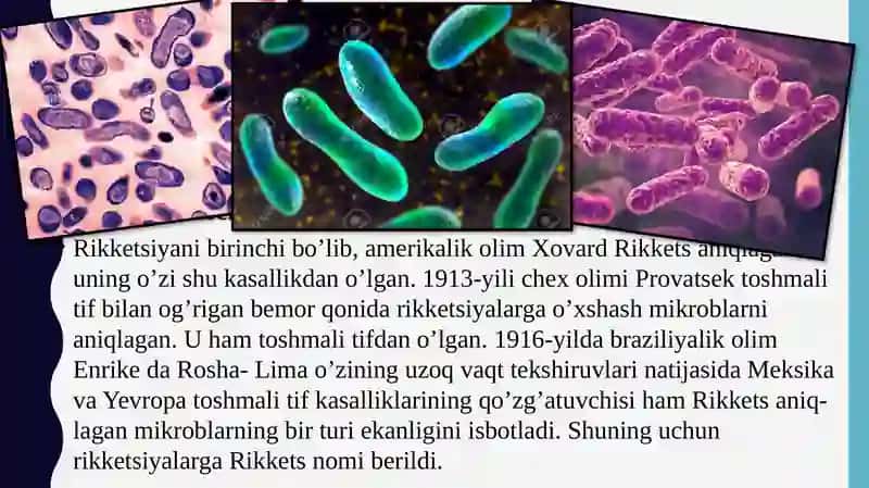 Rikketsiozlar 2