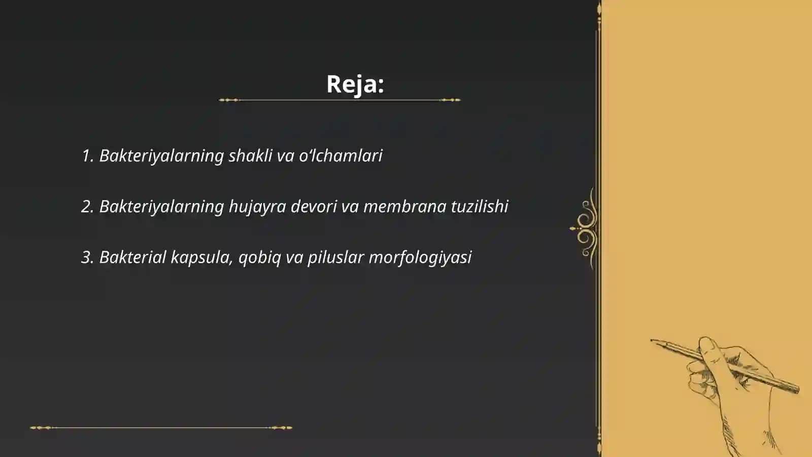 Bakteriyalarning morfologiyasi 2