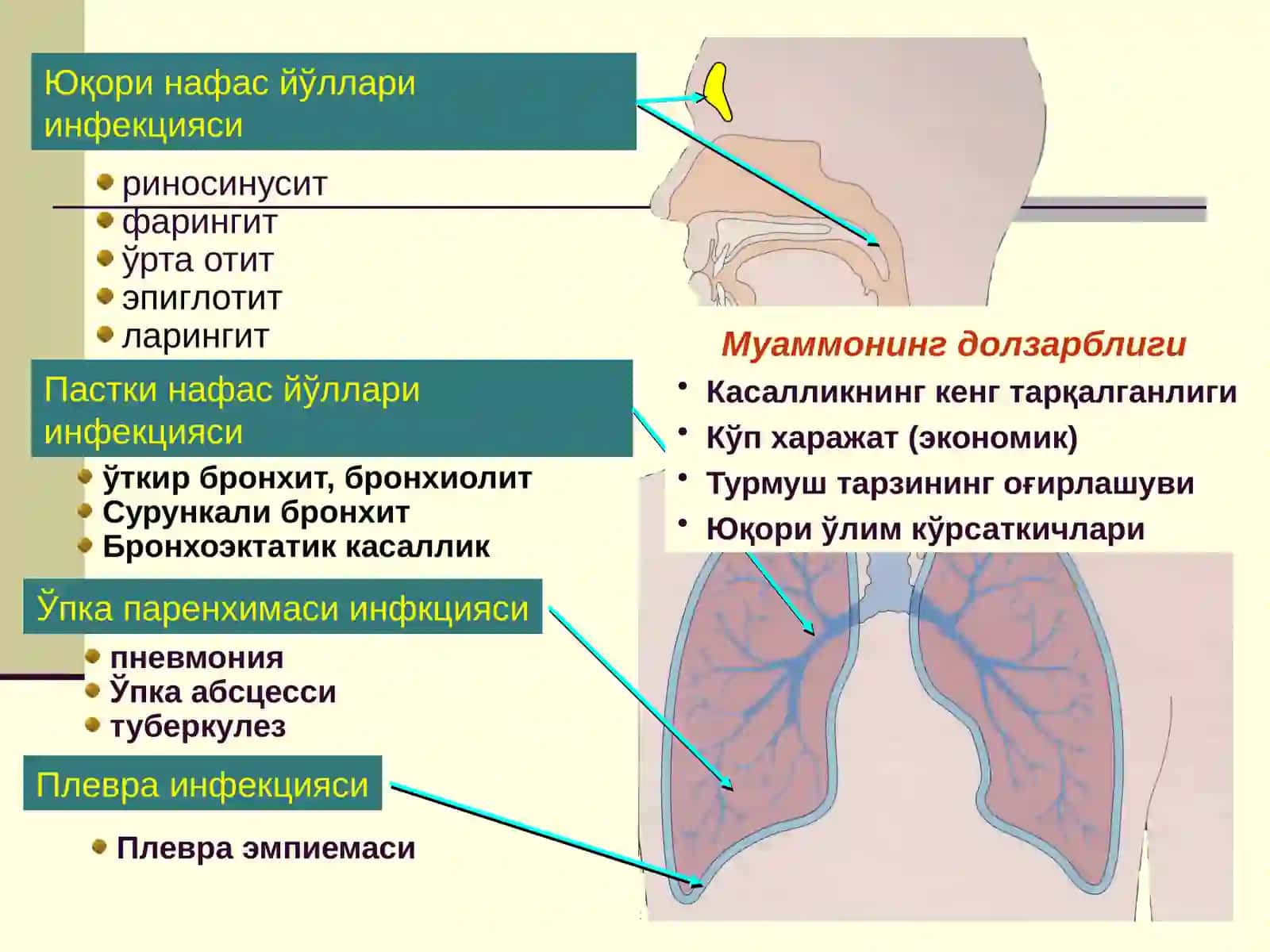 БОЛАЛАРДАЎТКИР ПНЕВМОНИЯ 2