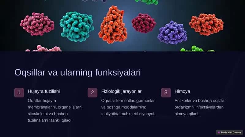 Oqsil Biosintezi Jarayoni 2