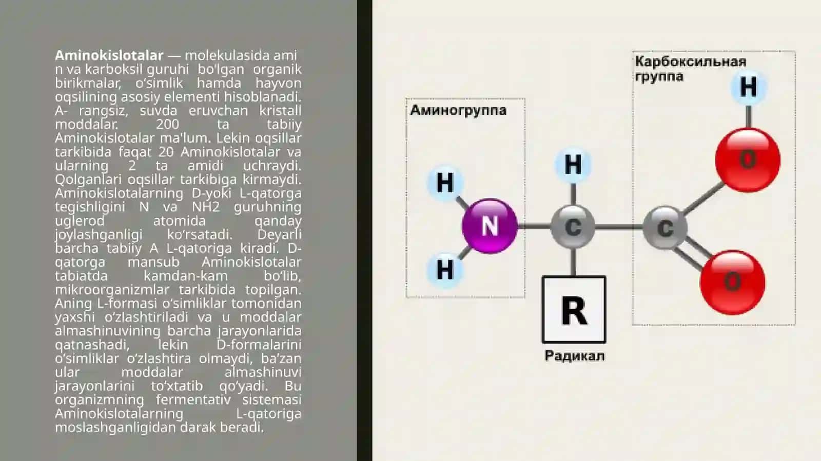 Aminokislotalarning sportchilar hayotidagi o'rni. 2