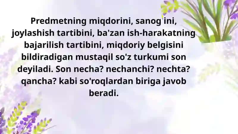 Son soʻz turkumi 2