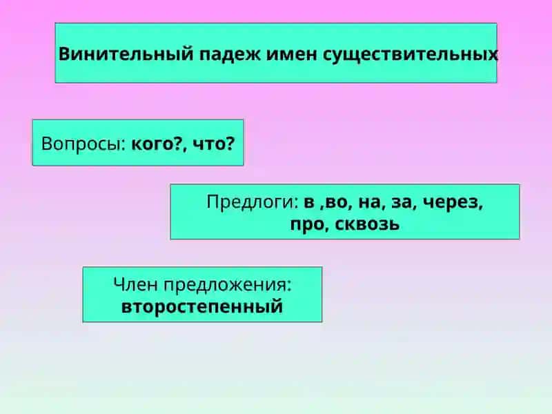 Винительный падеж 2