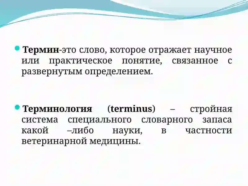 Научная терминология потекстолингвистике 2