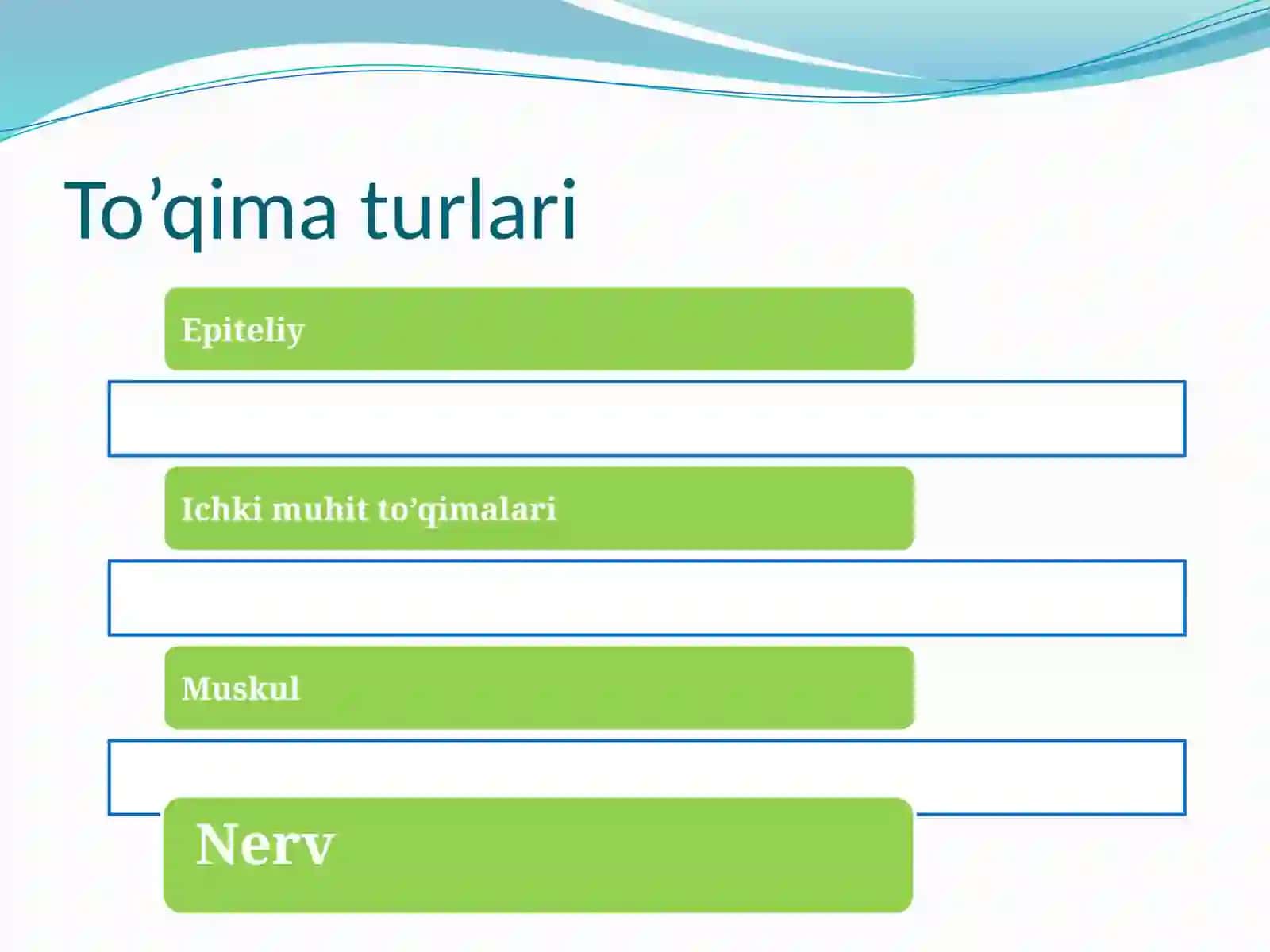 To’qimagistalogiyasi 2