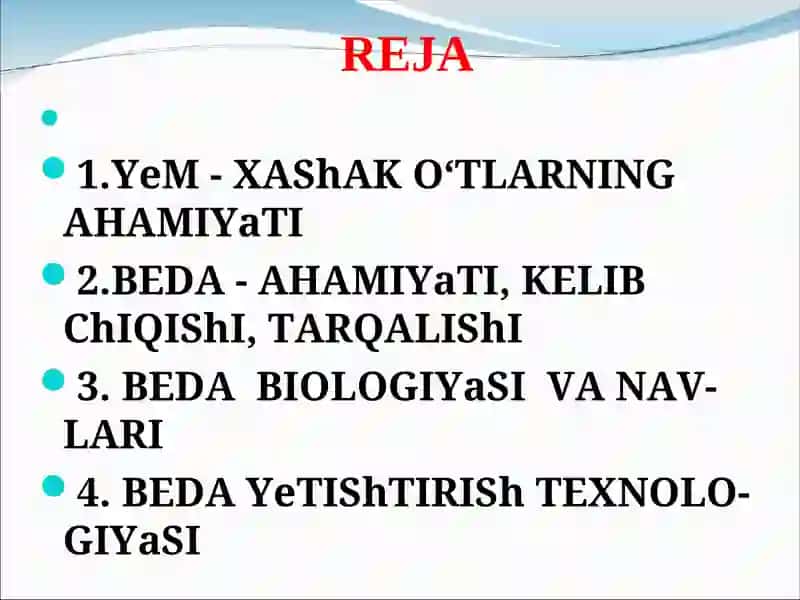 YeM - XAShAK O‘TLARNING AHAMIYaTI 2