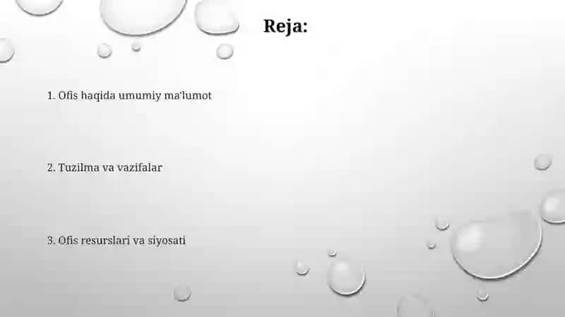 Ofis haqida ma'lumotlar 2