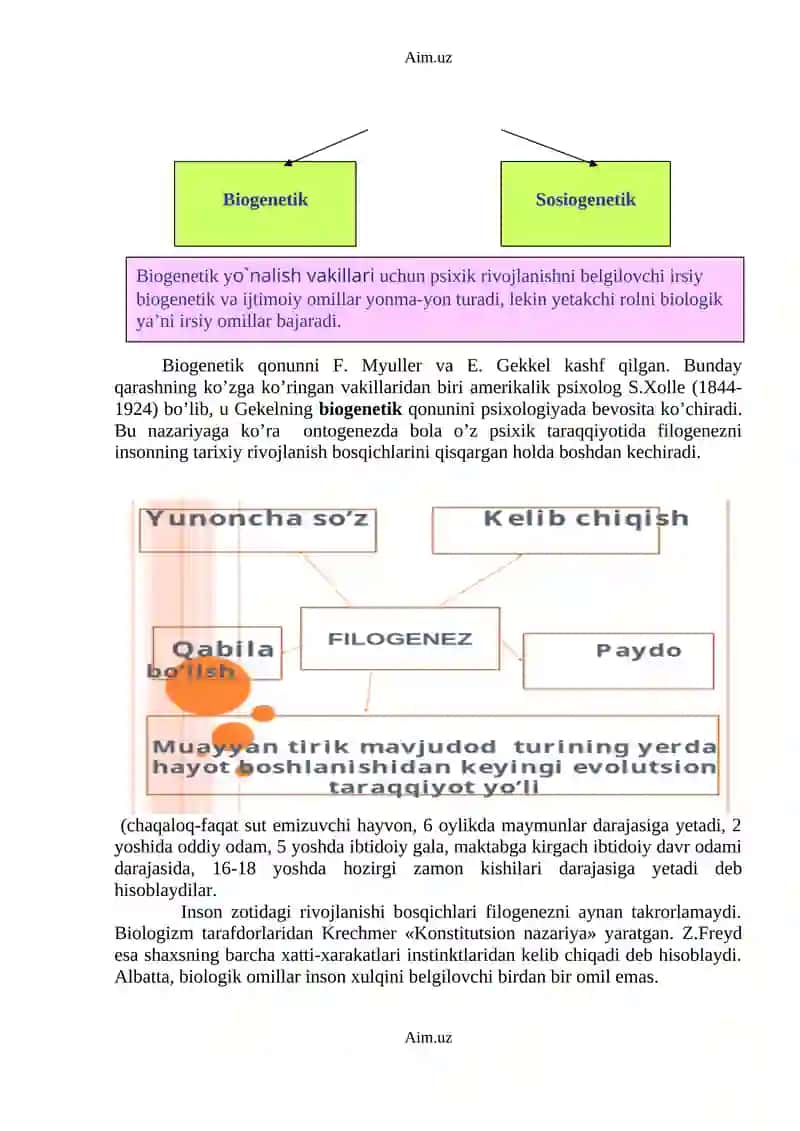 Psixik rivojlanish va uni davrlashtirish muammosi 2