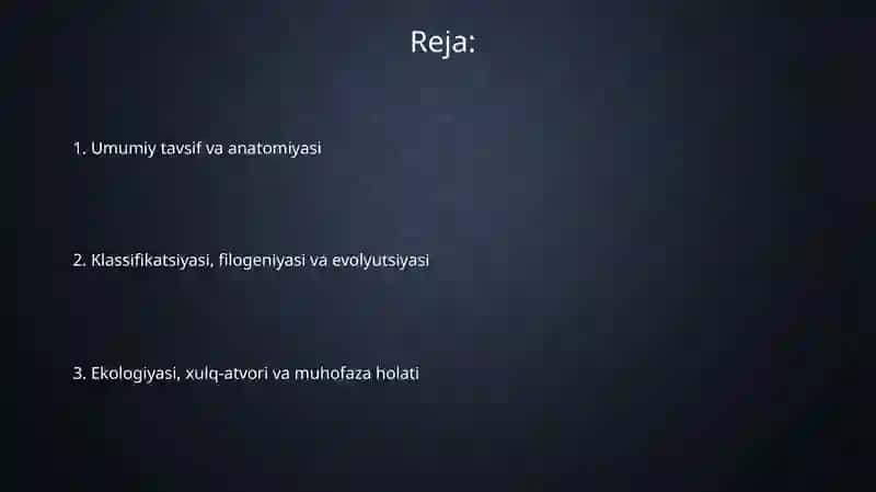 Biologiya (Qushlar sinfi) 2