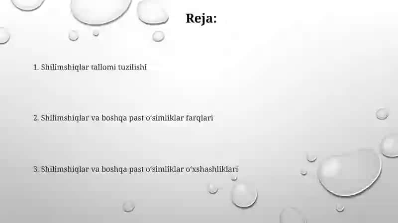Shilimshiqlar tallomining tuzilishi 2