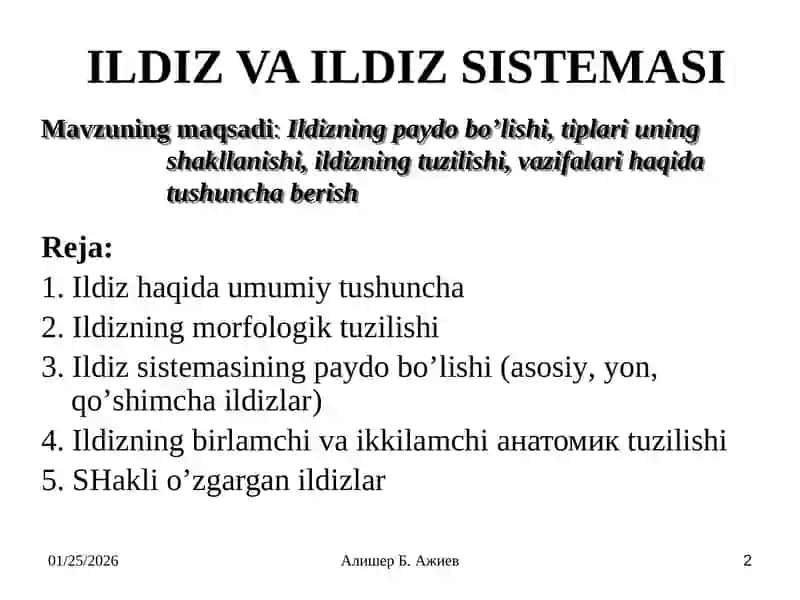 ILDIZ VA ILDIZ SISTEMASI 2
