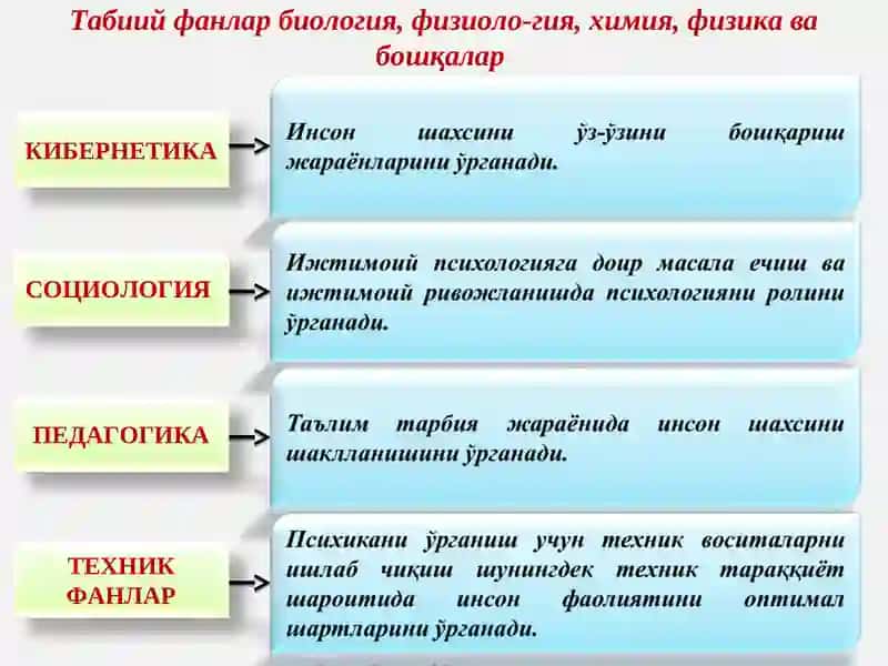 Ҳозирги замон психологиясининг тузилиши 2