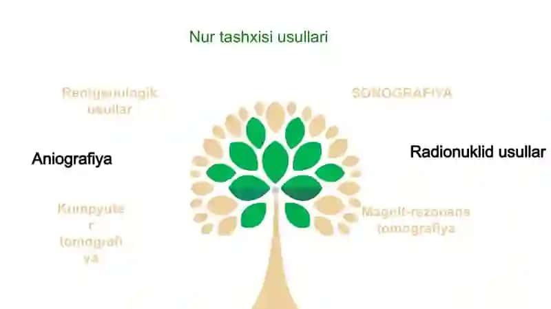 Shoshilinch holatlarda nur tashxisi 2